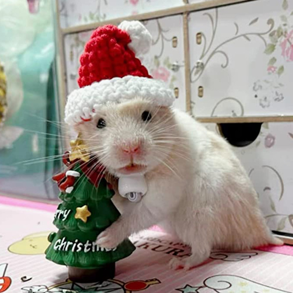 Hand Woven Pet Christmas Hat D - огляд і ціна Santa Hat Plush