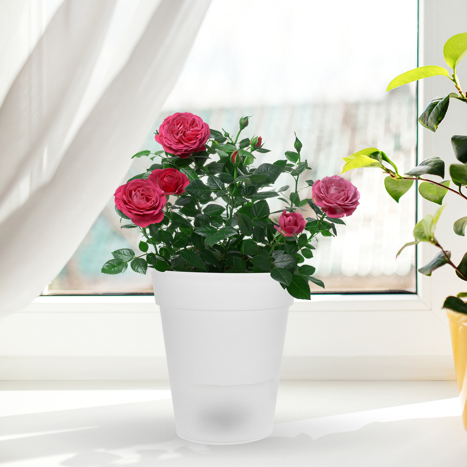 Flowerpot Solar Light Outdoor  - огляд і ціна Christmas Lights Outdoor